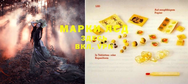 экстази Кадников